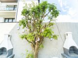 DSC09994